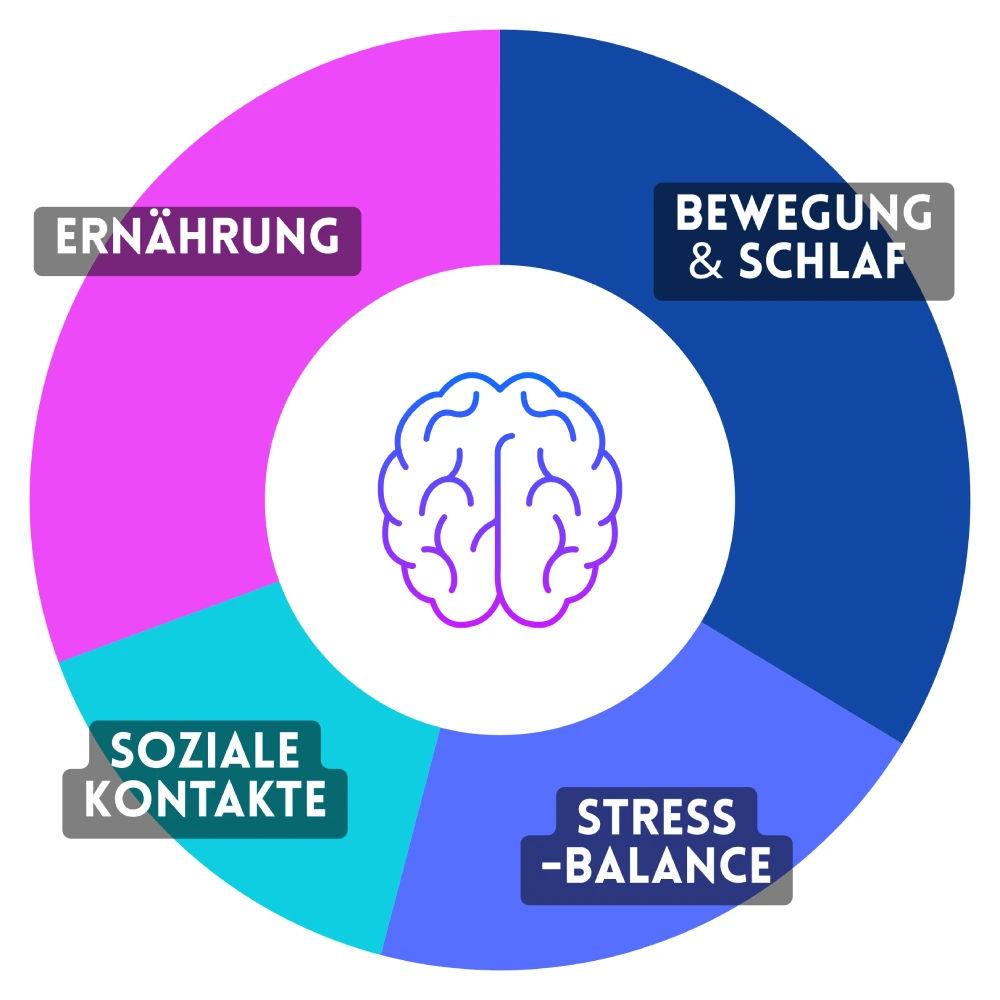 Die 4 Bereiche, die über Gehirngesundheit entscheiden