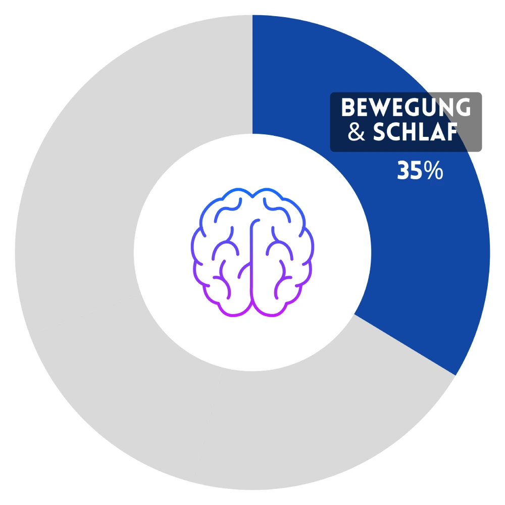 Gehirn Bewegung Schlaf