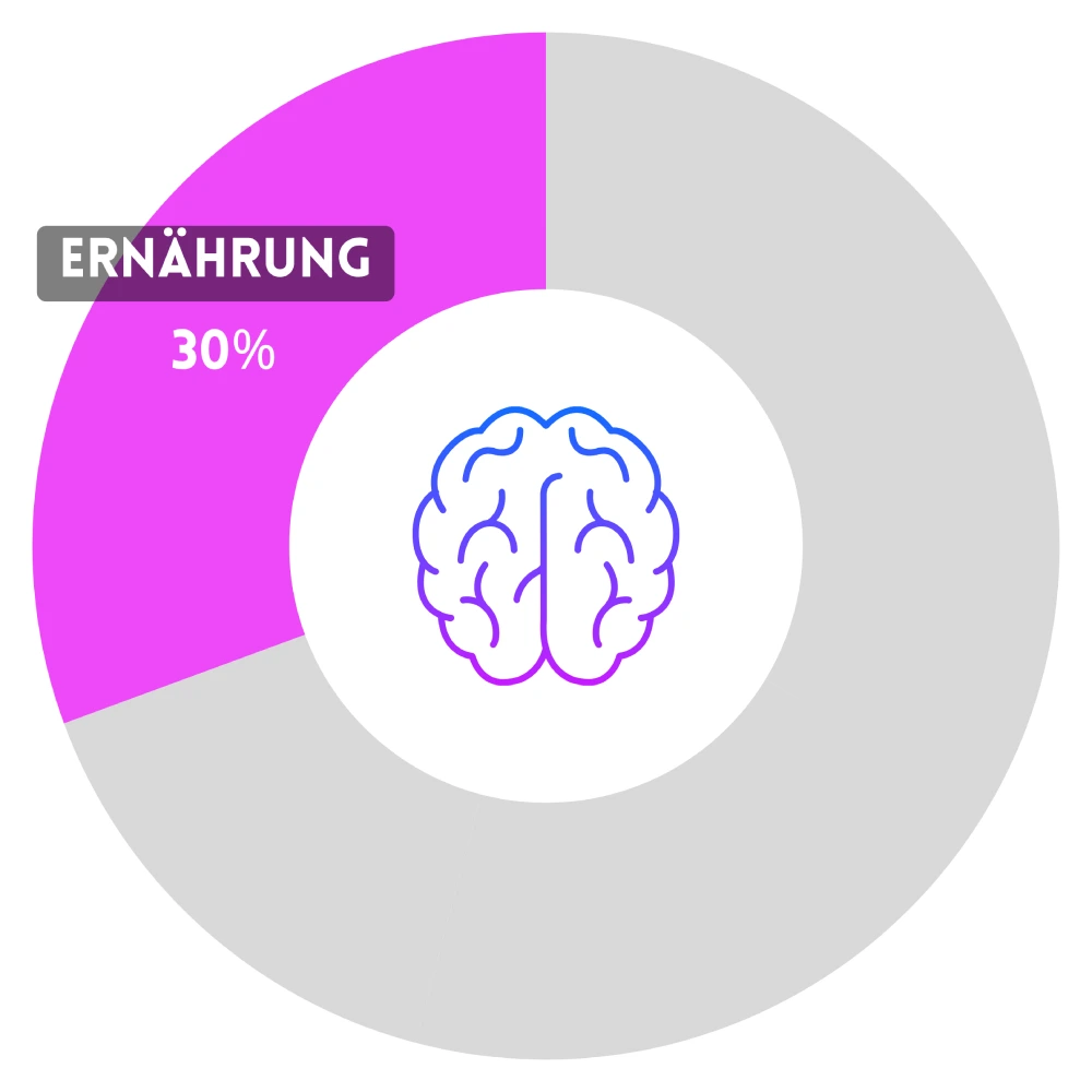 Gehirn und Ernährung