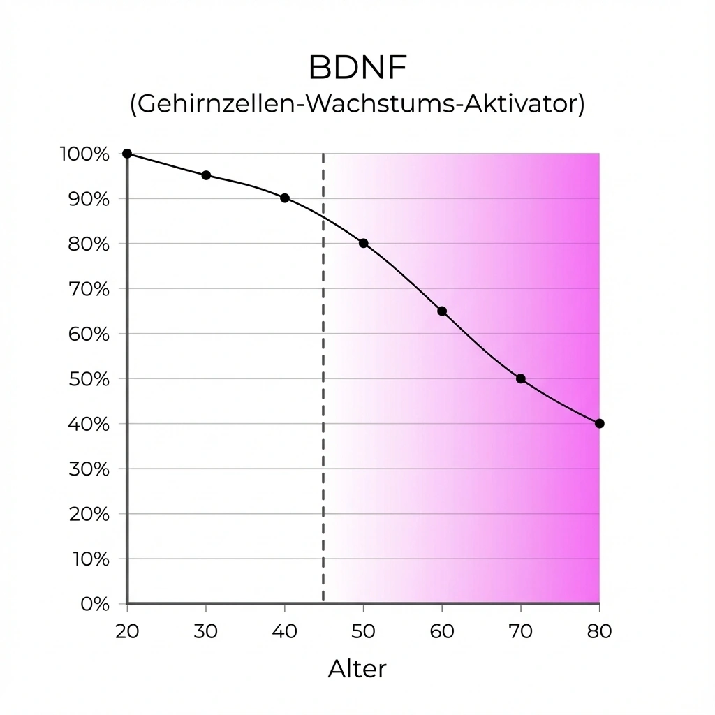 ein Koordinatensystem, das den Verfall von BDNF mit zunehmendem Alter illustriert. Mit 65 Jahren nur noch 50% des ursprünglichen Wertes.