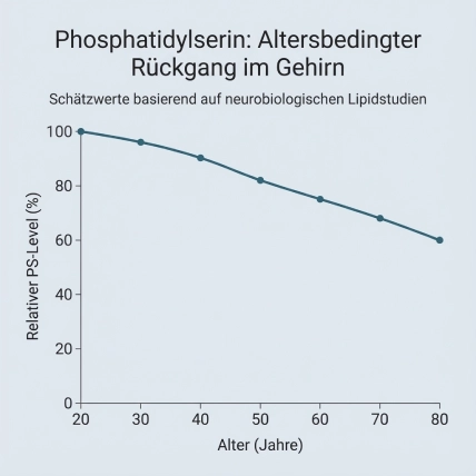 Kurve illustriert die kontinuierliche Abnahme von PS mit zunehmendem Alter im Gehirn