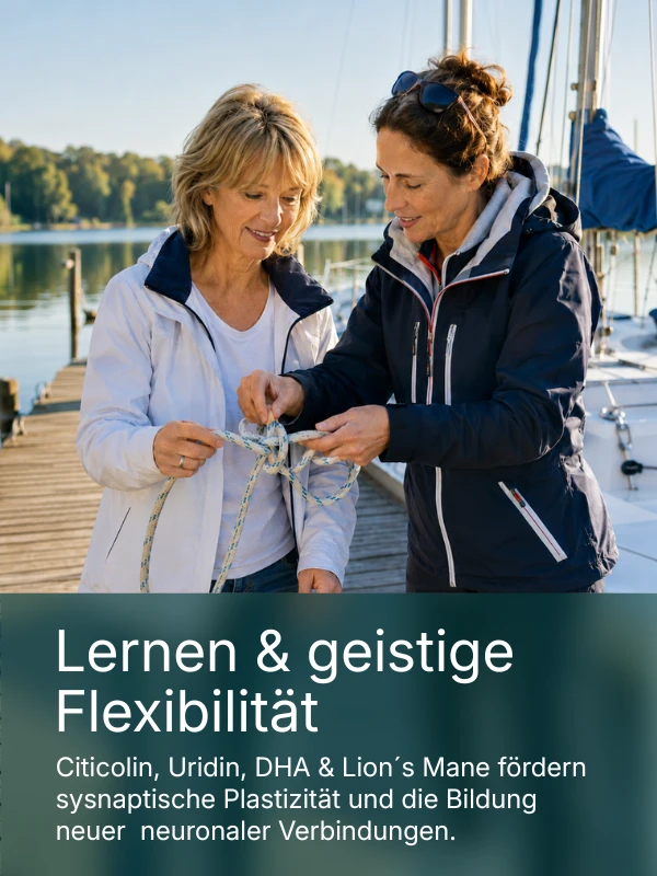 lernen-flexibilität
